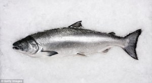 article-2509010-02AA6C34000005DC-613_634x347